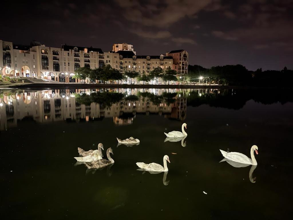 Vue Exceptionnelle Sur Le Lac Creteil Exterior photo