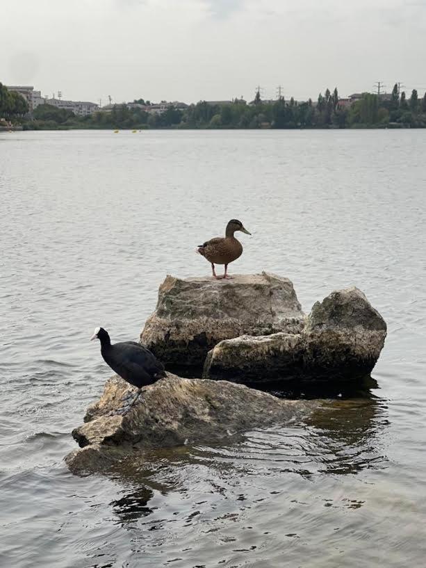 Vue Exceptionnelle Sur Le Lac Creteil Exterior photo